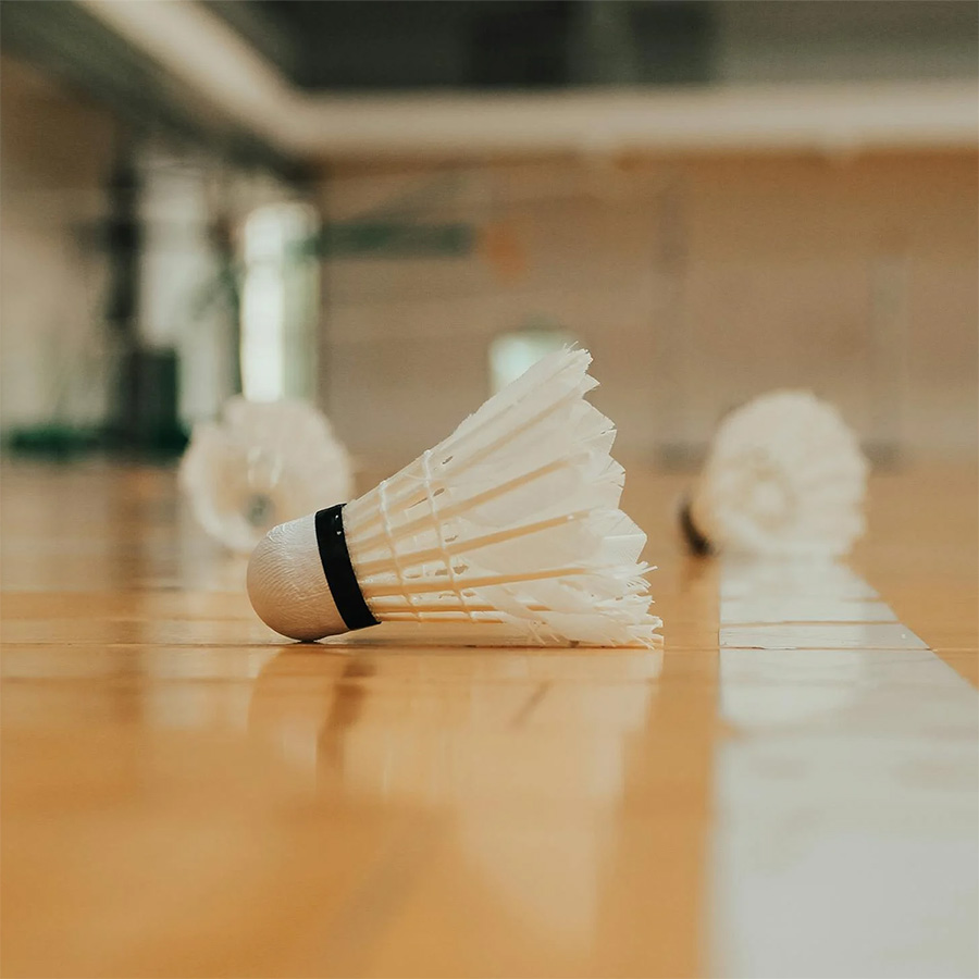 Sulkapallo, pöytätennis, pesäpallo